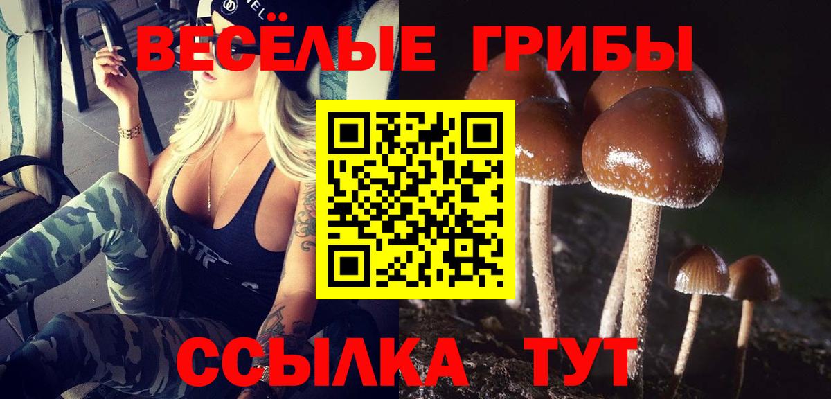 Галлюциногенные грибы Psilocybe  магазин  наркотиков  Екатеринбург  Вход с VPN 